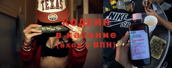 индика Богородицк