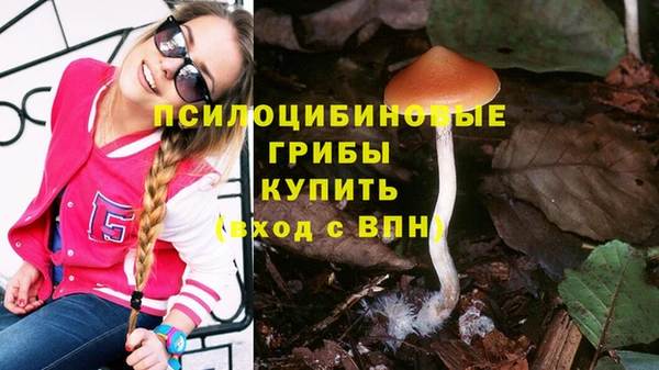 прущие крисы Белоозёрский