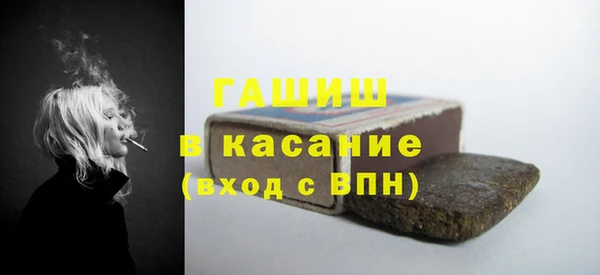 индика Богородицк