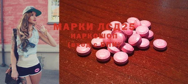 индика Богородицк