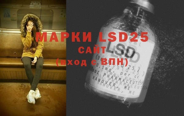 твердый Богданович