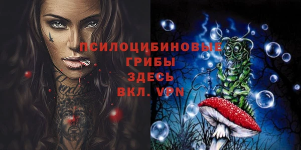 прущие крисы Белоозёрский