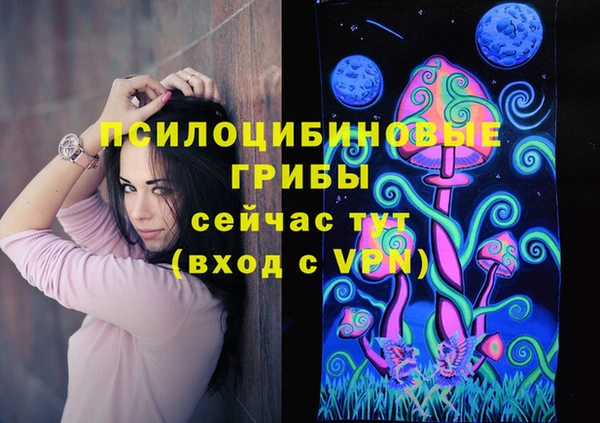 прущие крисы Белоозёрский
