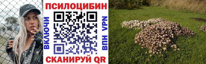 Галлюциногенные грибы мухоморы закладки Разумное